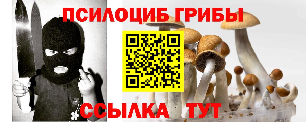 Псилоцибиновые грибы Psilocybine cubensis  Псилоцибиновые грибы GOLDEN TEACHER  Пугачёв  где найти наркотики  Вход с VPN 